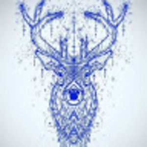 Meet your Posher, Tony